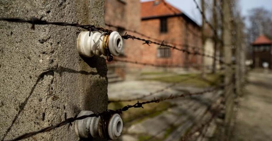 Auschwitz-Birkenau: Skip-the-Line Ticket and Guided Tour - Key things that make this tour worth your time