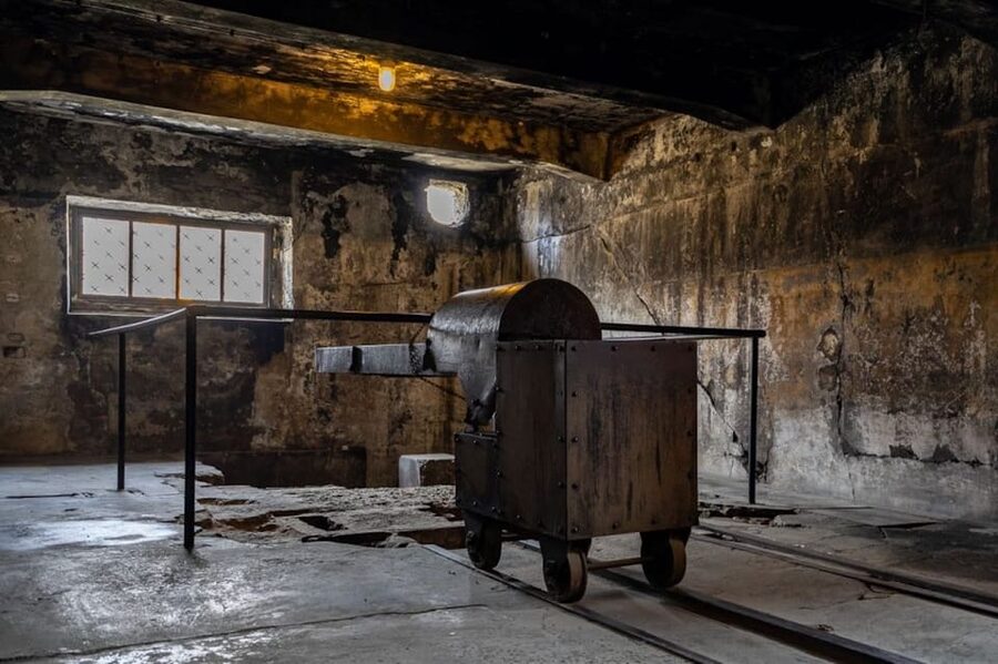 Auschwitz-Birkenau: Skip-the-Line Ticket and Guided Tour - Pace, headsets, and the emotional tone