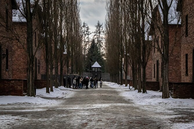 Auschwitz Birkenau Tour from Krakow: Private Transfer + Ticket - Private Transfer Value: What It Changes in Your Day