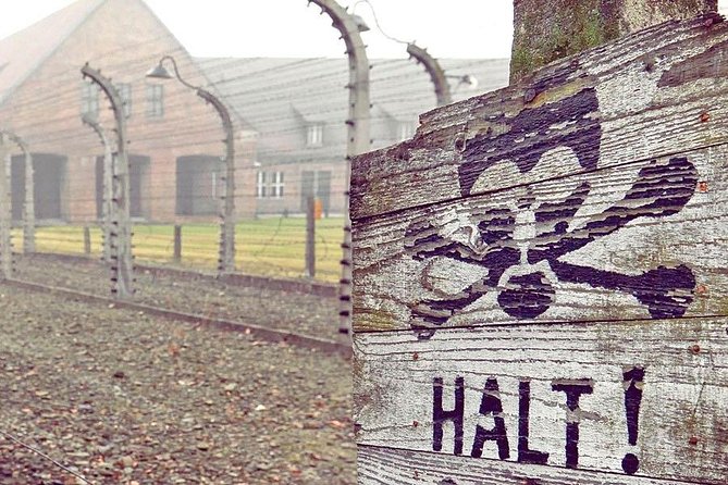 Auschwitz-Birkenau Tour from Wrocław - 7:00 am pickup, minibus ride, and what the schedule feels like