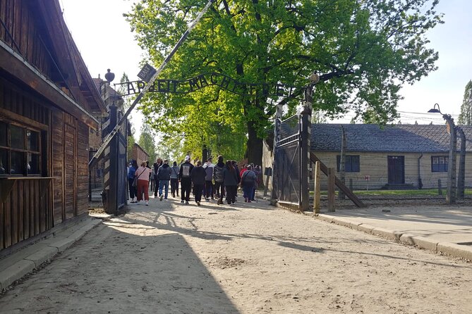 Auschwitz Birkenau Tour with Private Transport from Kraków - How private transport makes Auschwitz easier to manage from Kraków