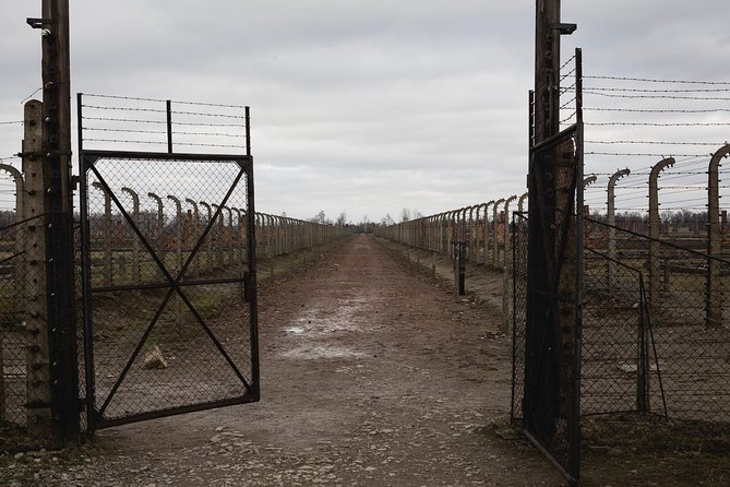 Auschwitz-Birkenau & Wieliczka in one day (Guided tour) - Who This Tour Is Best For (And Who Should Rethink It)