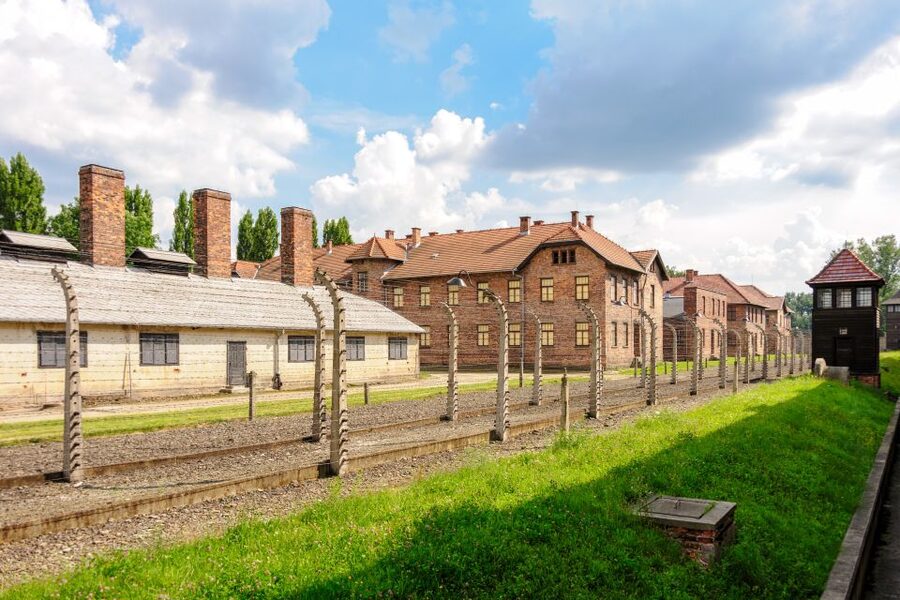 Auschwitz Ticket and Full-Day Tour from Krakow - Transfer to Birkenau: A Short Ride, a Big Change in Purpose