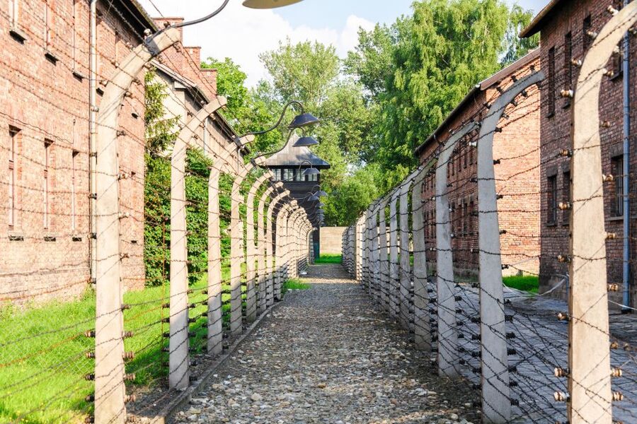Auschwitz Ticket and Full-Day Tour from Krakow - Auschwitz II-Birkenau: Guided Walk, Break Time, and Lunch Reset