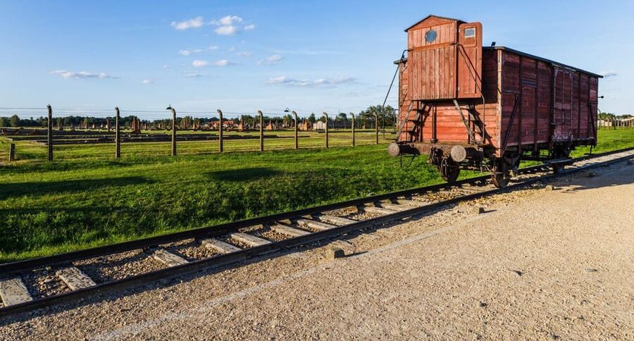 Budapest: Auschwitz Birkenau Private Day Tour - Private group structure: why it makes a difference here