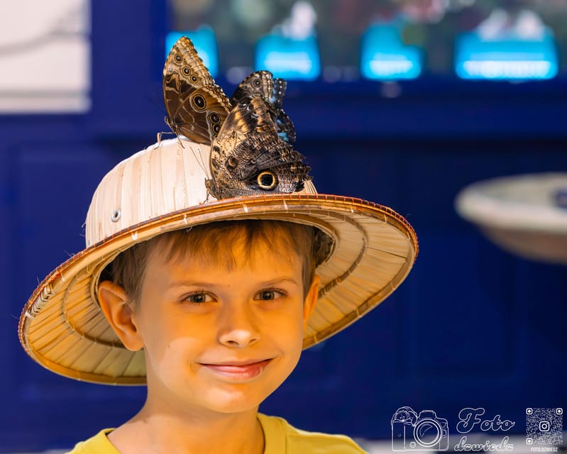 Cracow: 4 Mazes and Living Butterfly Museum Entry Ticket - Laser Maze, passing through beams without breaking your flow