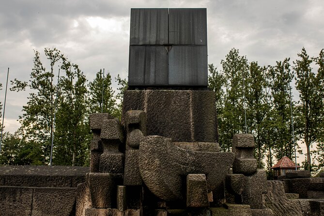 Day Tour to Auschwitz Birkenau Museum with Transportation - Who this Auschwitz day tour is best for