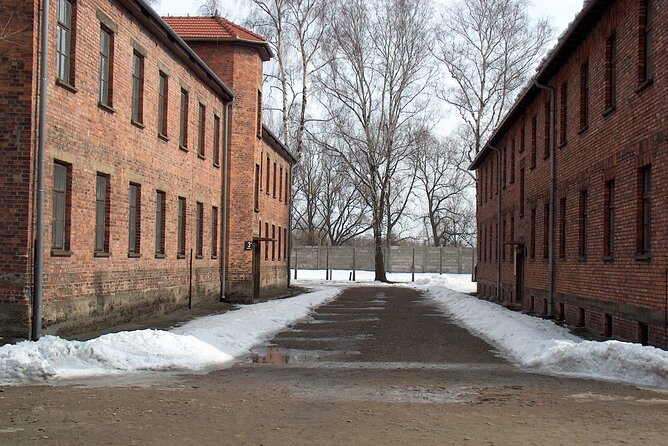 Exclusive Small Group Auschwitz-Birkenau Guided Tour from Krakow - Skip-the-line tickets and headsets, the underrated win