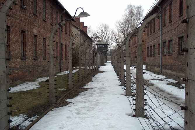 Exclusive Small Group Auschwitz-Birkenau Guided Tour from Krakow - Birkenau (Auschwitz II): unloading ramps and the reality of scale