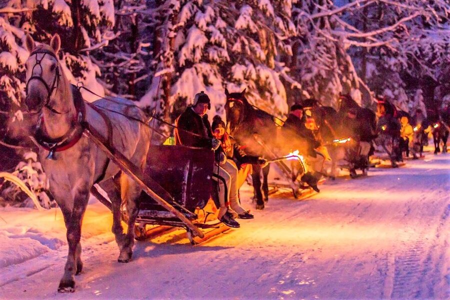 Fram Kraków: Tatra Mountain Sleigh Ride in Zakopane - Key highlights at a glance