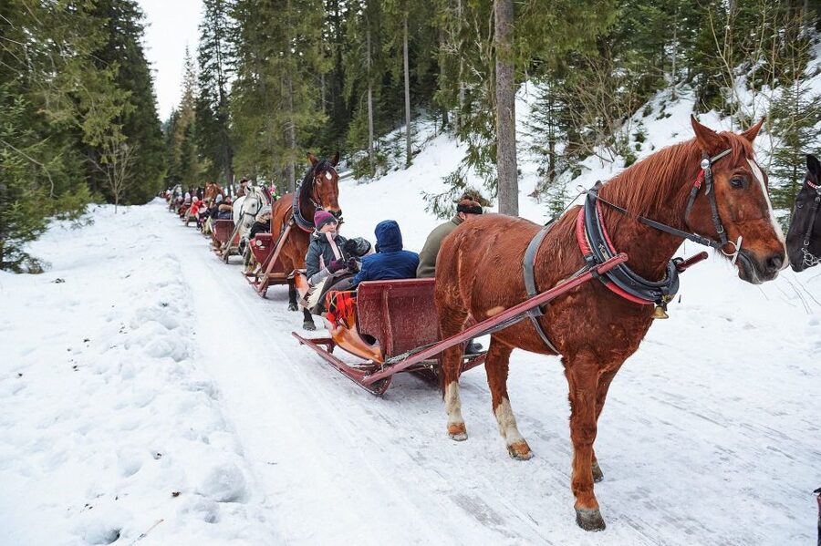 Fram Kraków: Tatra Mountain Sleigh Ride in Zakopane - From Kraków to Zakopane: the winter road trip you should plan for