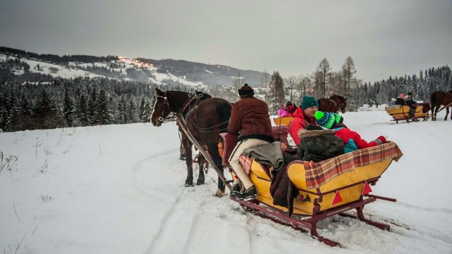 Fram Kraków: Tatra Mountain Sleigh Ride in Zakopane - Tatra National Park entry: why this is more than a ride