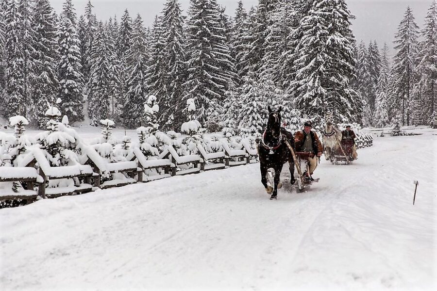 Fram Kraków: Tatra Mountain Sleigh Ride in Zakopane - Price and value: is $342 per person a fair deal?