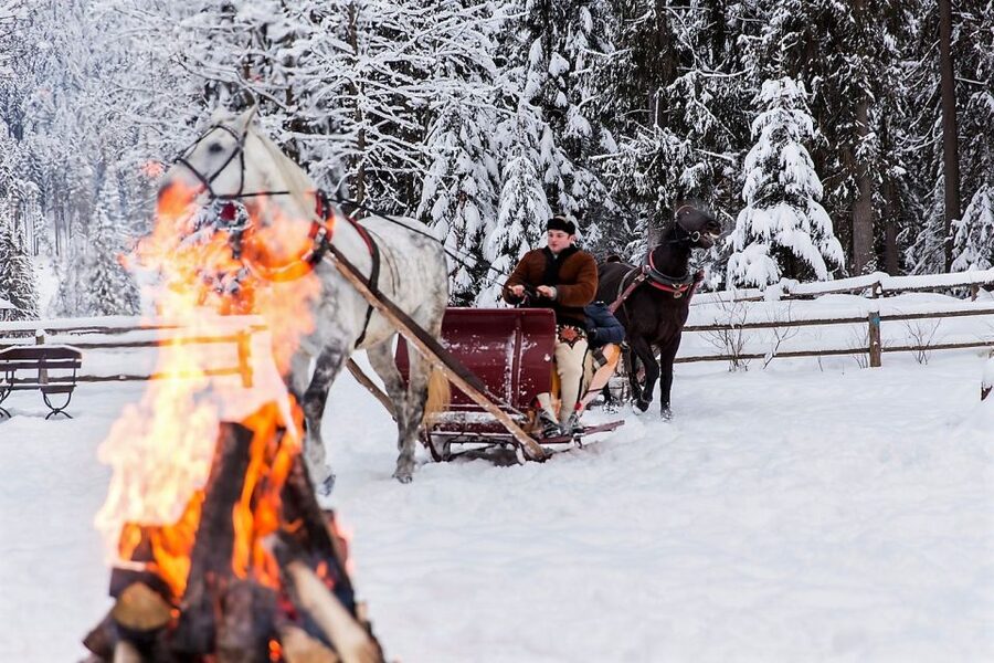 Fram Kraków: Tatra Mountain Sleigh Ride in Zakopane - Who this Zakopane sleigh day works best for