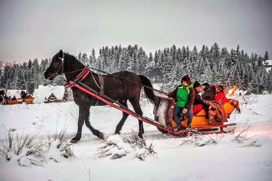 Fram Kraków: Tatra Mountain Sleigh Ride in Zakopane - Zakopane walking time: wooden cabins and a Polish-Russian church moment