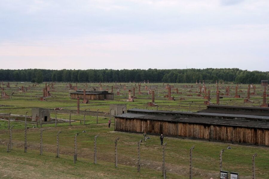 From Katowice: Auschwitz-Birkenau Skip-the-Line Guided Tour - The guide and audio setup: why it matters so much