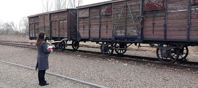 From Kracow: Auschwitz Complex Alternative Tour - Pre-War Theater, Zyklon B Storage, and the Ramps That Tells the Story