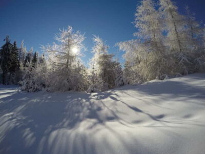 3-Hour Skiing Experience Suitable for Beginners