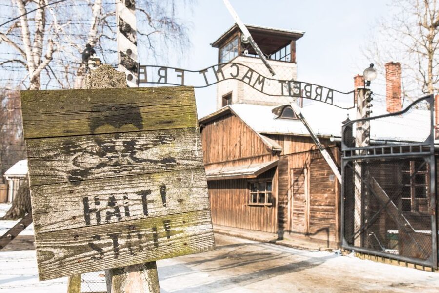 From Krakow: Auschwitz and Wieliczka Salt Mine Full-Day Trip - Why Auschwitz plus Wieliczka in one day makes sense