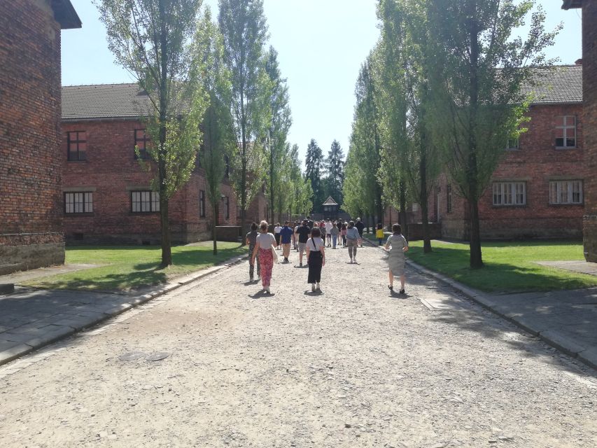 From Krakow: Auschwitz-Birkenau and Self-Guided Day Tour - Tickets and entry flow, and what “skip the ticket line” means in practice