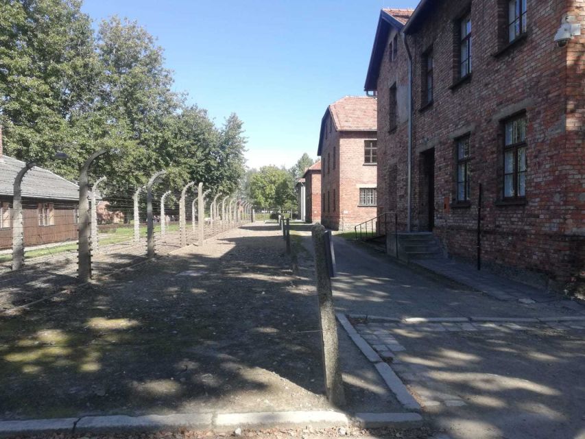 From Krakow: Auschwitz-Birkenau and Self-Guided Day Tour - Who this tour suits best, and who should reconsider