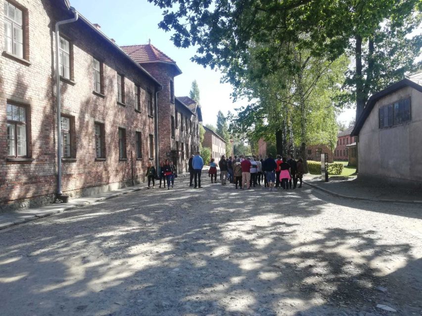 From Krakow: Auschwitz-Birkenau and Self-Guided Day Tour - Should you book this Auschwitz-Birkenau day tour?