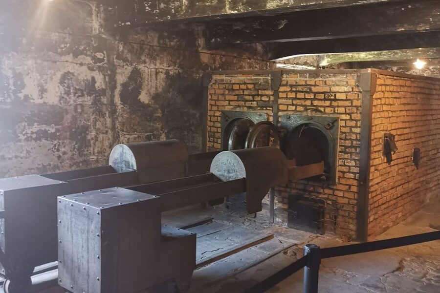 From Krakow: Auschwitz-Birkenau Camp Complex Guided Day Trip - Who this tour fits best, and who should rethink it