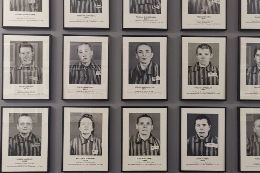 From Krakow: Auschwitz-Birkenau Camp Complex Guided Day Trip - Krakow pickup, private ride, and staying on schedule