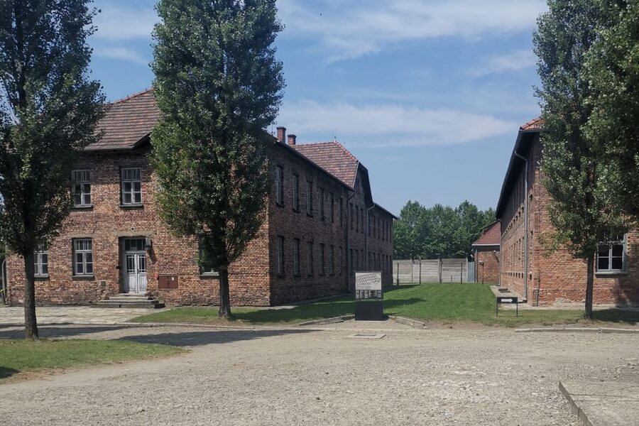 From Krakow: Auschwitz-Birkenau Camp Complex Guided Day Trip - Prisoner blocks and artifacts you will not forget