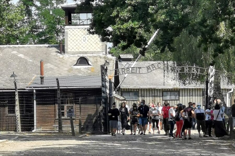 From Krakow: Auschwitz-Birkenau Camp Complex Guided Day Trip - Gas chambers, crematoria, and the built-in time to reflect