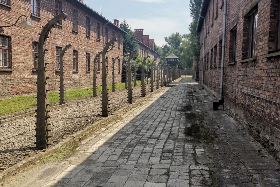 From Krakow: Auschwitz-Birkenau Camp Complex Guided Day Trip - Price and value: is $83 worth a guided 7-hour day?