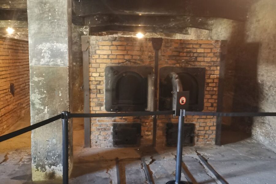 From Krakow: Auschwitz-Birkenau Camp Complex Guided Day Trip - What to bring, and what the site will not allow