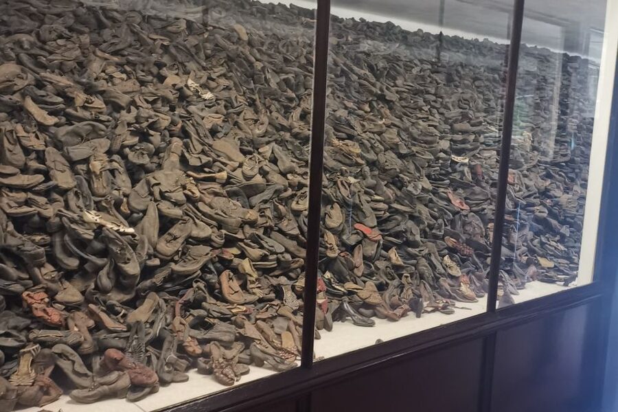 From Krakow: Auschwitz-Birkenau Camp Complex Guided Day Trip - Auschwitz: the gate, the barracks story, and what your guide frames first