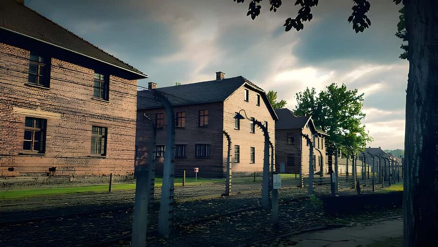 From Krakow: Auschwitz-Birkenau Full-Day Guided Tour - Price and what $89 buys you in real value