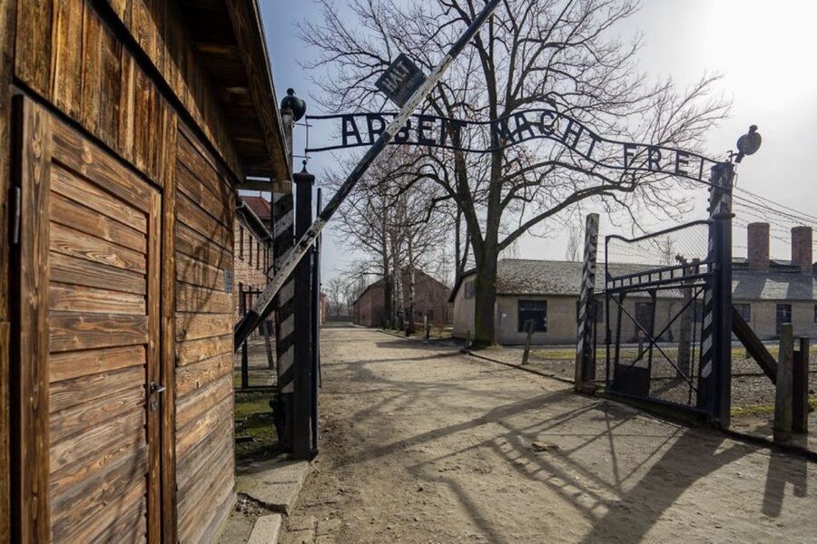 From Krakow: Auschwitz-Birkenau Full-Day Tour - Birkenau Camp: understanding the camp complex as a whole