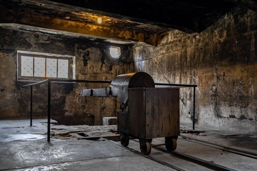 From Krakow: Auschwitz-Birkenau Full-Day Tour - Auschwitz I Museum: original exhibits and the warning from history