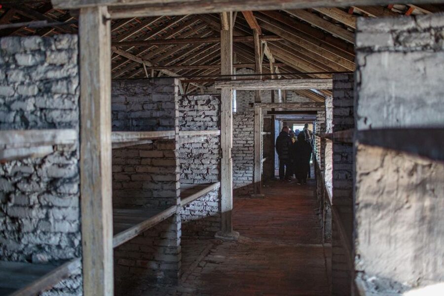 From Krakow: Auschwitz-Birkenau Guided Full-Day Tour - Auschwitz II Birkenau: Railway Ramp, Ruins, and the Scale That Stuns