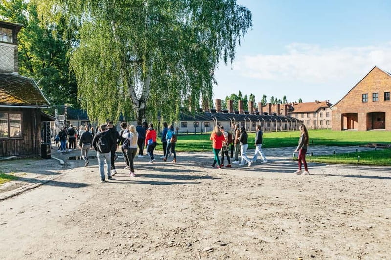 From Krakow: Auschwitz-Birkenau Guided Tour & Hotel Pickup - What to Pack: ID, Shoes, and the 20 x 30 cm Bag Limit