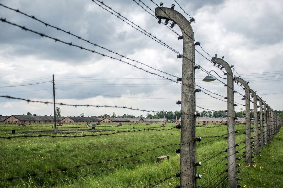 From Krakow: Auschwitz-Birkenau Guided Tour & Hotel Pickup - Licensed Guides, Real Tone, and Language Options That Matter