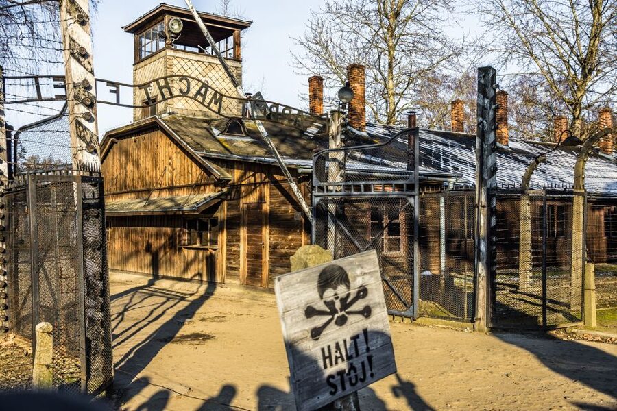 From Krakow: Auschwitz-Birkenau Guided Tour & Pickup - The Bus Ride to Auschwitz-Birkenau: Comfortable, but Expect a Real Schedule