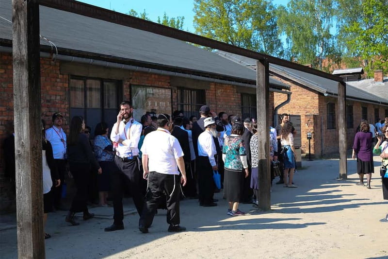From Krakow: Auschwitz-Birkenau Guided Tour & Pickup Options - The day trip rhythm: Krakow pick-up to Oświęcim, then back again