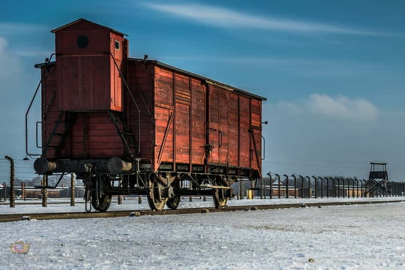 From Krakow: Auschwitz-Birkenau Guided Tour & Pickup - Price and Value: Why It’s About More Than $22