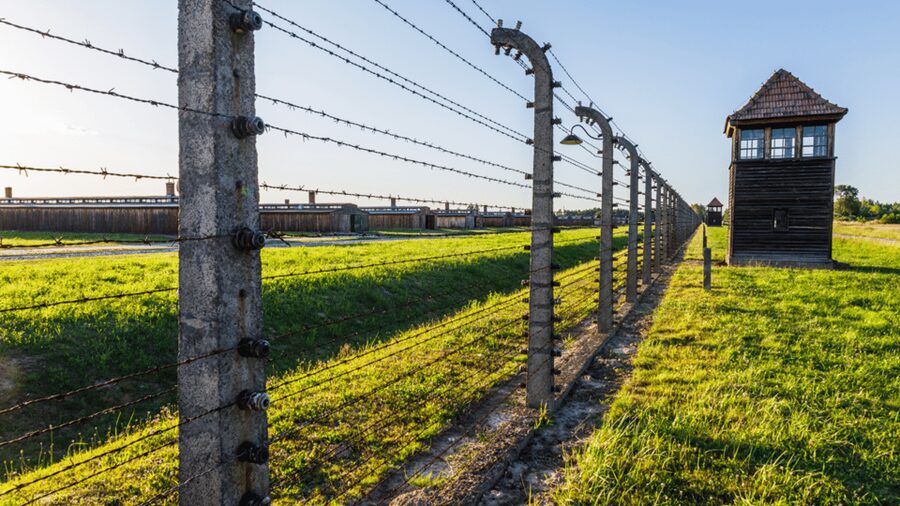 From Krakow: Auschwitz-Birkenau Guided Tour, Several Options - Key points before you go