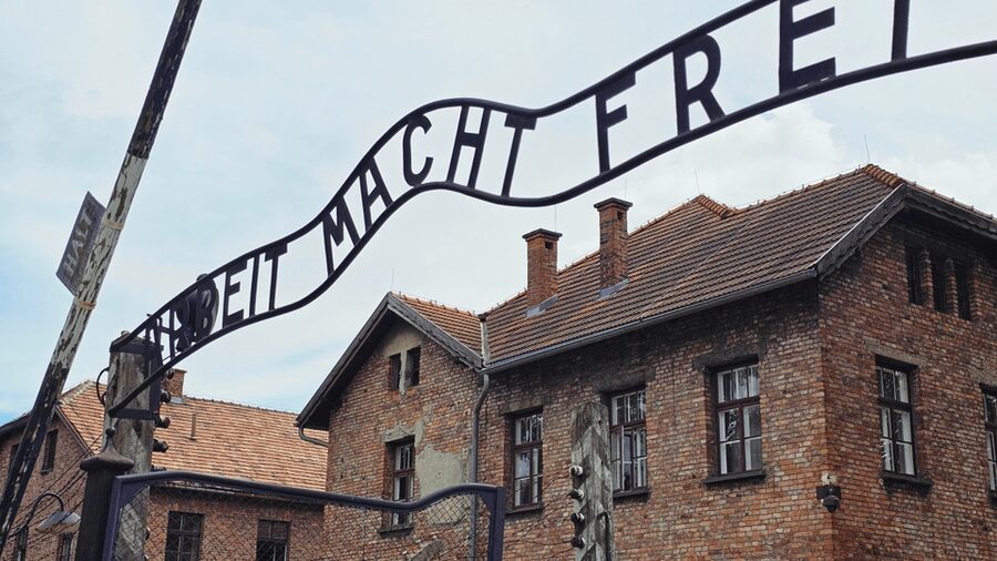 From Krakow: Auschwitz-Birkenau Guided Tour, Several Options - The Short Break, Food Reality, and Photo Rules