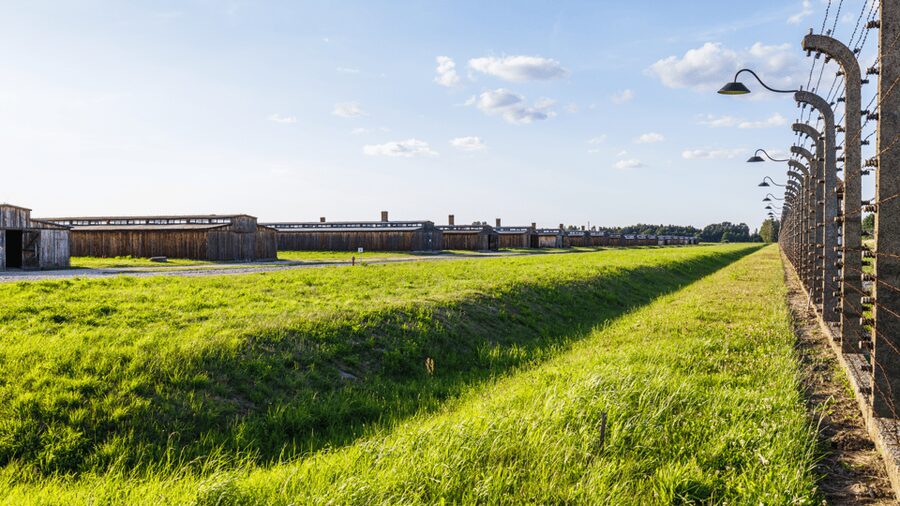 From Krakow: Auschwitz-Birkenau Guided Tour, Several Options - Price and Logistics: Is $27 Good Value?