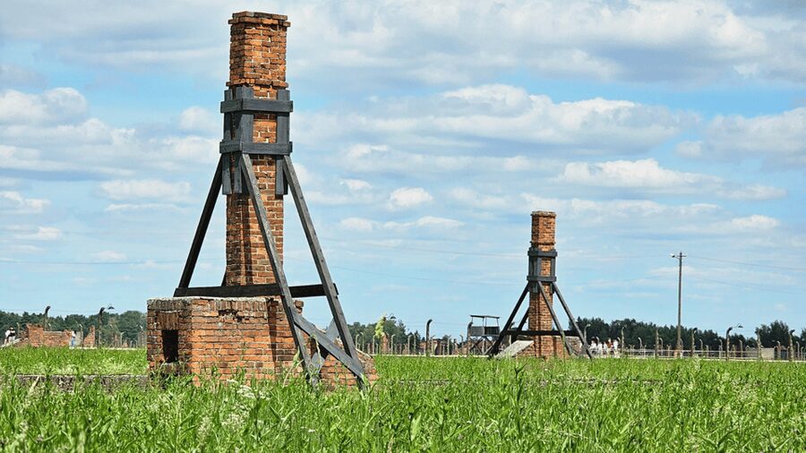 From Krakow: Auschwitz-Birkenau Guided Tour, Several Options - Who This Tour Fits Best (and Who Might Want Another Option)