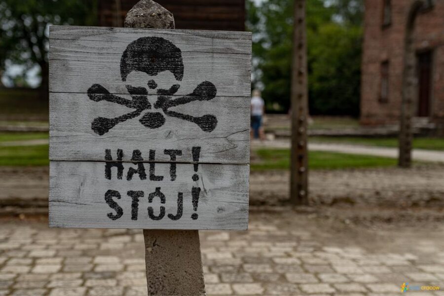 From Krakow: Auschwitz-Birkenau Guided Tour, Several Options - Should You Book This Auschwitz-Birkenau Tour From Krakow?
