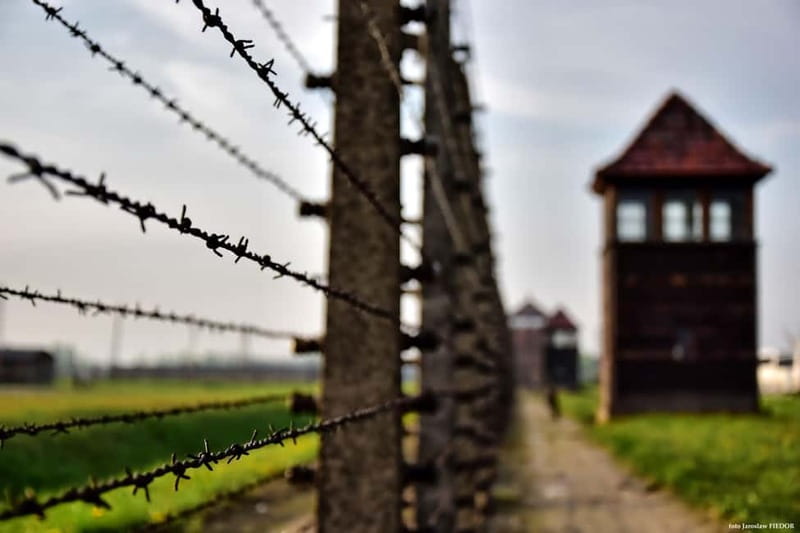 From Krakow: Auschwitz-Birkenau Guided Tour & Transportation - How to get the best day out of a tour that cannot control the museum pace