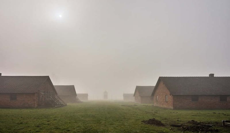 From Krakow: Auschwitz-Birkenau Guided Tour with Transport - Comfort tips that actually help on an emotional, long day