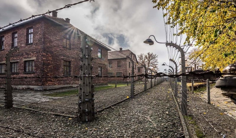 From Krakow: Auschwitz-Birkenau Guided Tour with Transport - Who this tour suits best, and who should rethink it